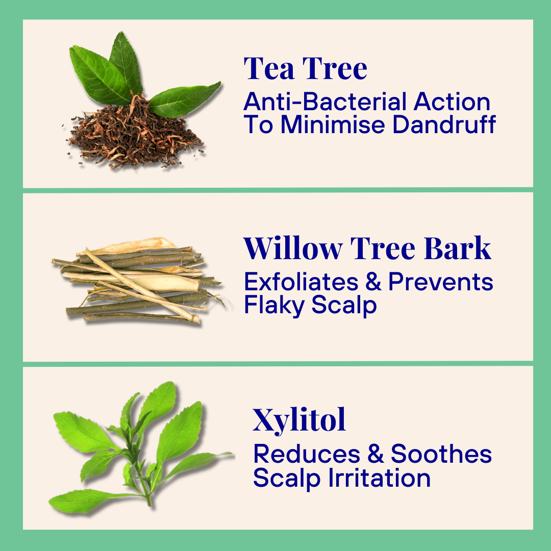 Exfoliating Powder Shampoo (70g)