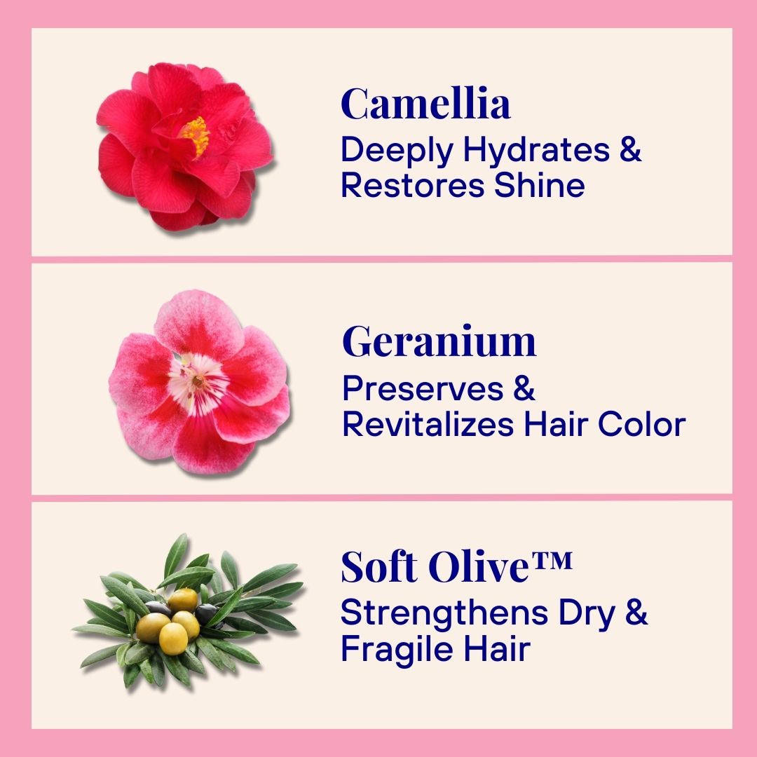 Hydrating Powder Shampoo For Dry & Fragile Hair (20g)