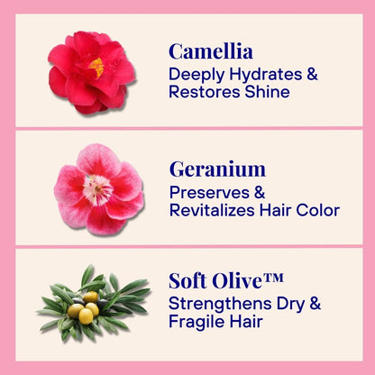 Home &amp; Away - Hydrating Powder Shampoo For Dry &amp; Fragile Hair Duo Pack